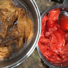 Load image into Gallery viewer, Introduction to Botanical Dyeing- Extraction Method.  Sunday 22nd  March 1:00pm-4:00pm