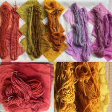 Load image into Gallery viewer, Introduction to Botanical Dyeing- Extraction Method Sunday 19th of April, 2026