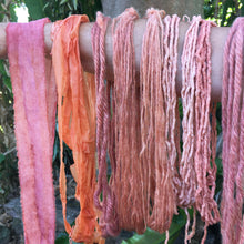 Load image into Gallery viewer, Introduction to Botanical Dyeing- Extraction Method