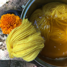 Load image into Gallery viewer, Introduction to Botanical Dyeing- Extraction Method  13th of July
