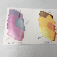 Load image into Gallery viewer, Introduction to Botanical Dyeing – Bundle Method