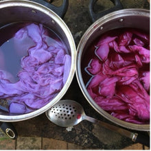 Load image into Gallery viewer, Introduction to Botanical Dyeing- Extraction Method.      Saturday 23rd August 1:00pm-4:00pm
