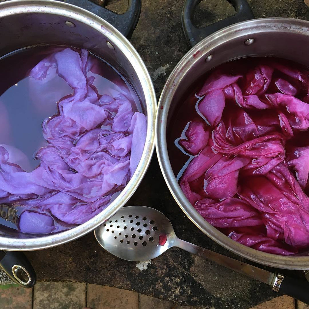 Introduction to Botanical Dyeing- Extraction Method  Saturday 23 March 2024