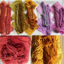 Load image into Gallery viewer, Introduction to Botanical Dyeing- Extraction Method  Saturday 23 March 2024
