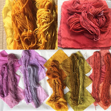 Load image into Gallery viewer, Introduction to Botanical Dyeing- Extraction Method
