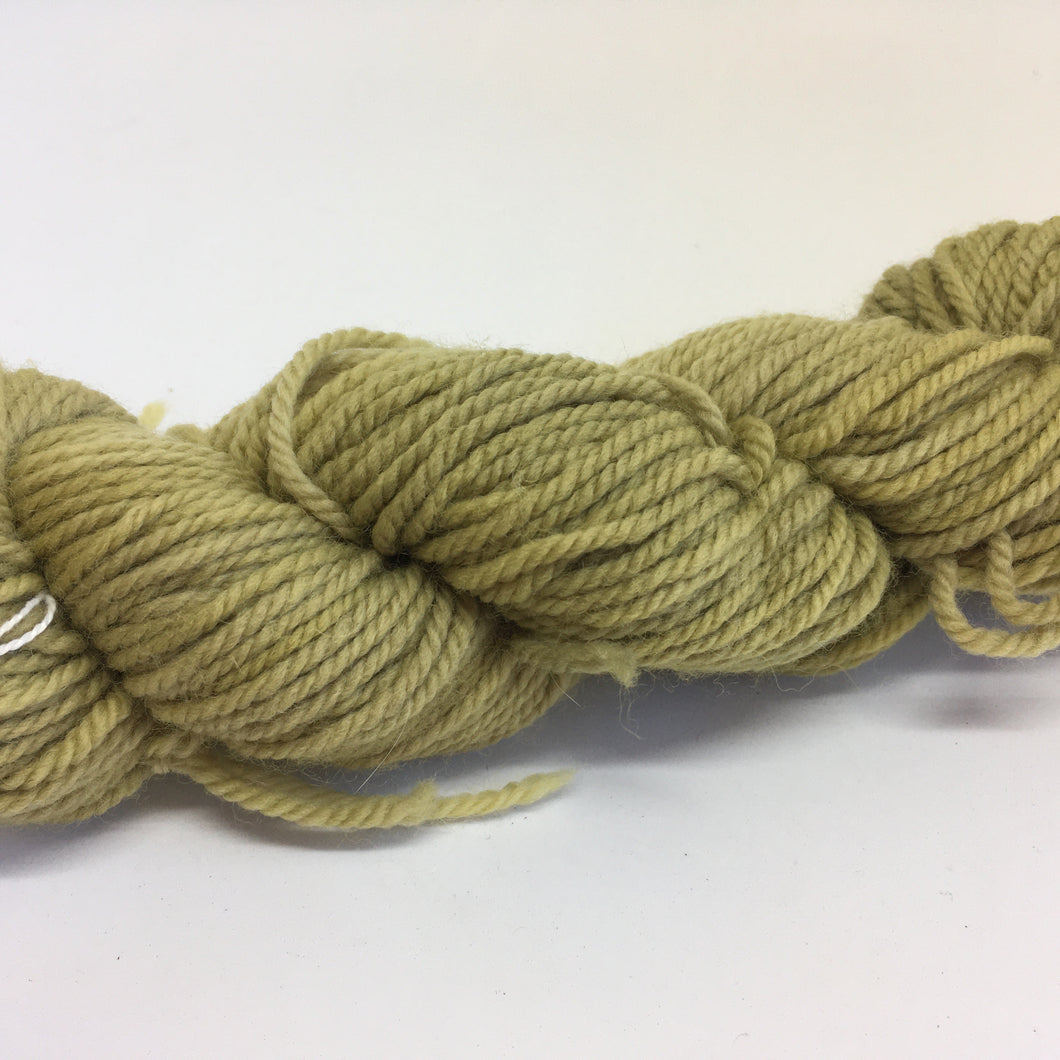 Botanical Dyed Wool Yarn 8ply- Eucalyptus modified 50grams